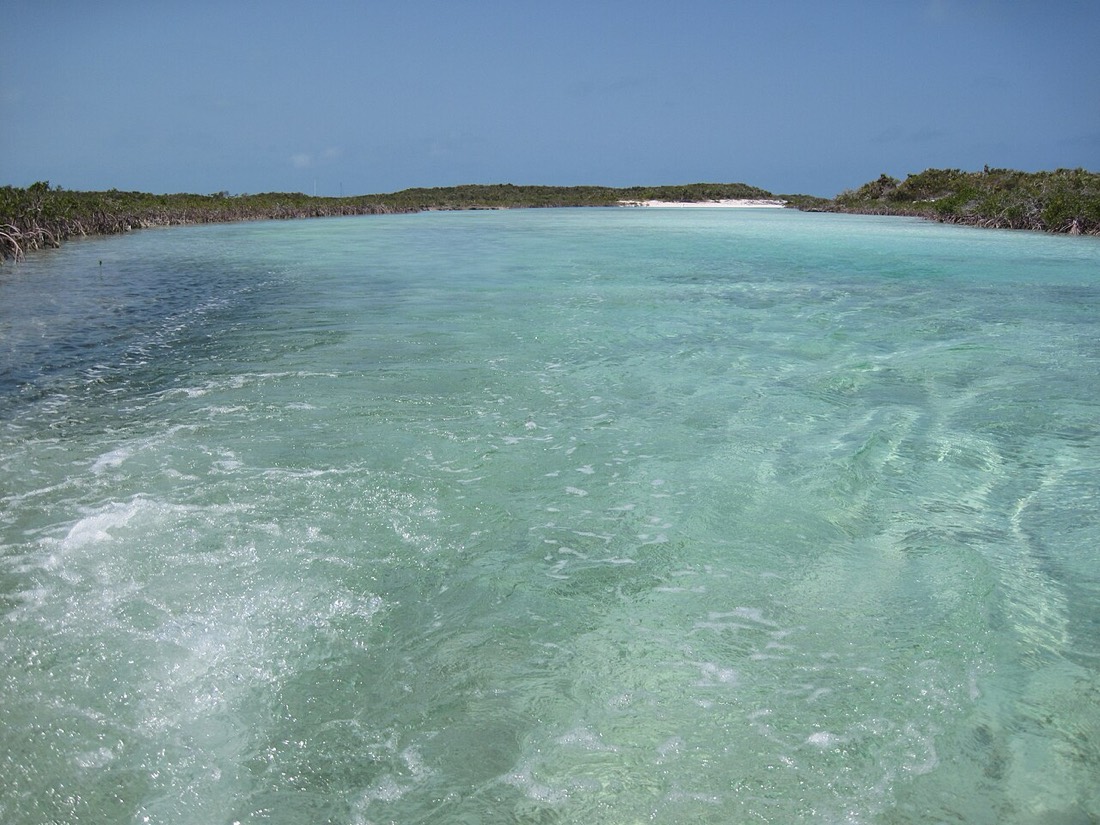 Dinghying the Shroud Cay creek