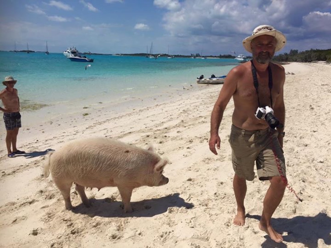 Tourists land at Pig Beach by dinghy