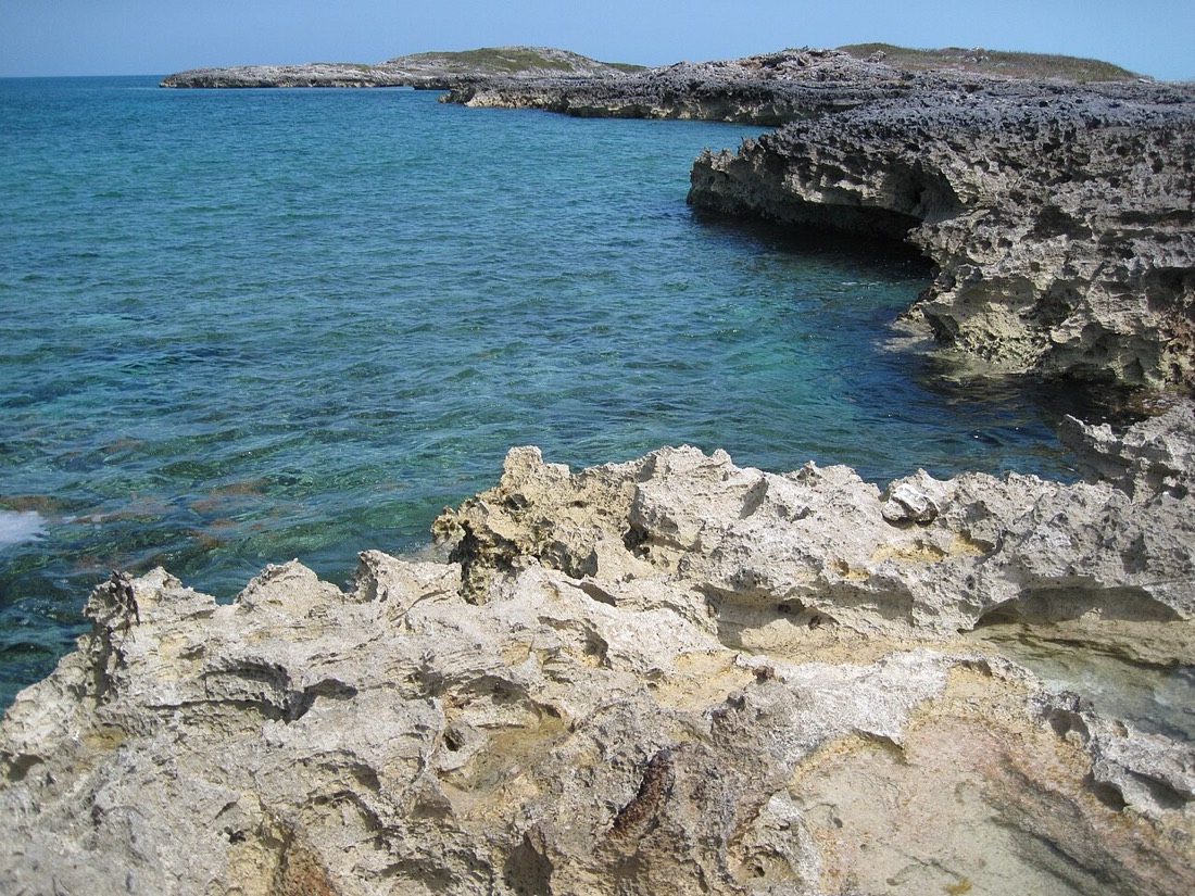 Reef snorkelling near Warderick Wells